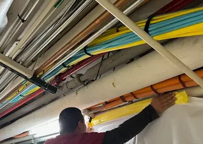 Asbestos Testing Service (1)