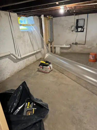 Mold Removal
