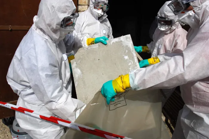 How Professional Asbestos Removal Services Help Prevent Health Risks Philadelphia, PA