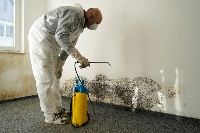 The Role of Mold Removal in Safe Asbestos Abatement in Philadelphia, PA