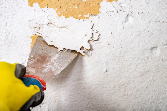Why Lead Abatement Should Be Part of Your Home Renovation Plan Philadelphia, PA