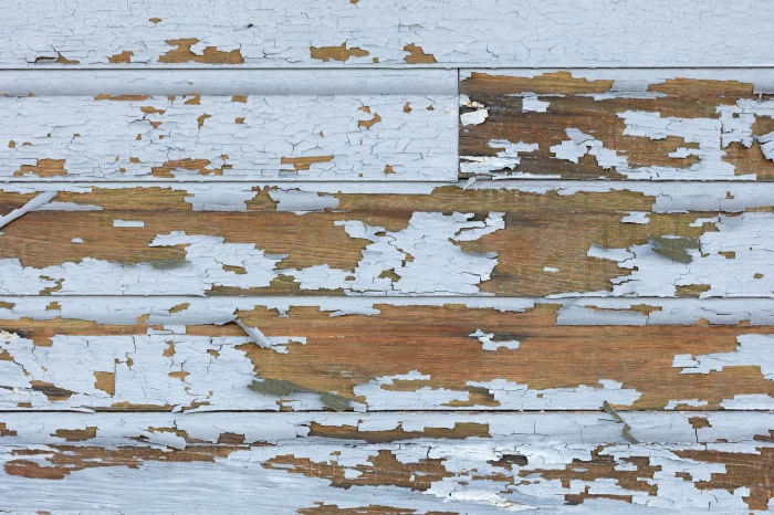 Why Lead Abatement Should Be Part of Your Home Renovation Plan in Philadelphia, PA